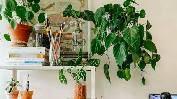 Estante metálica para sala ou home office por Tiia Pakk / Pexels