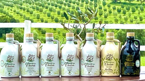 Fazenda em Viamão colocou o Brasil no topo do mercado global de azeites premium por Estância das Oliveiras