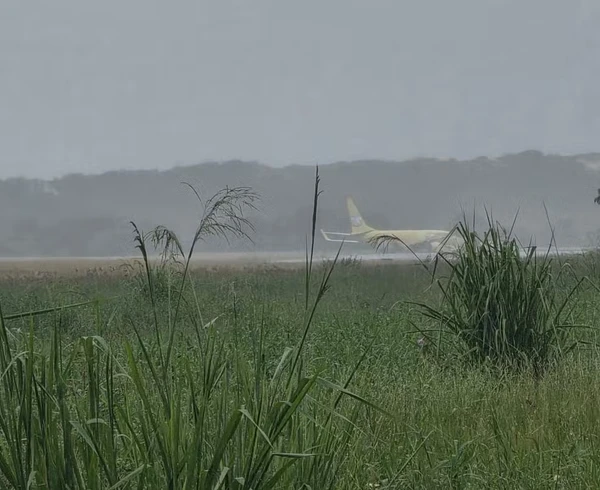 Avião cargueiro da Gol saiu da pista após pouso em Salvador por Reprodução