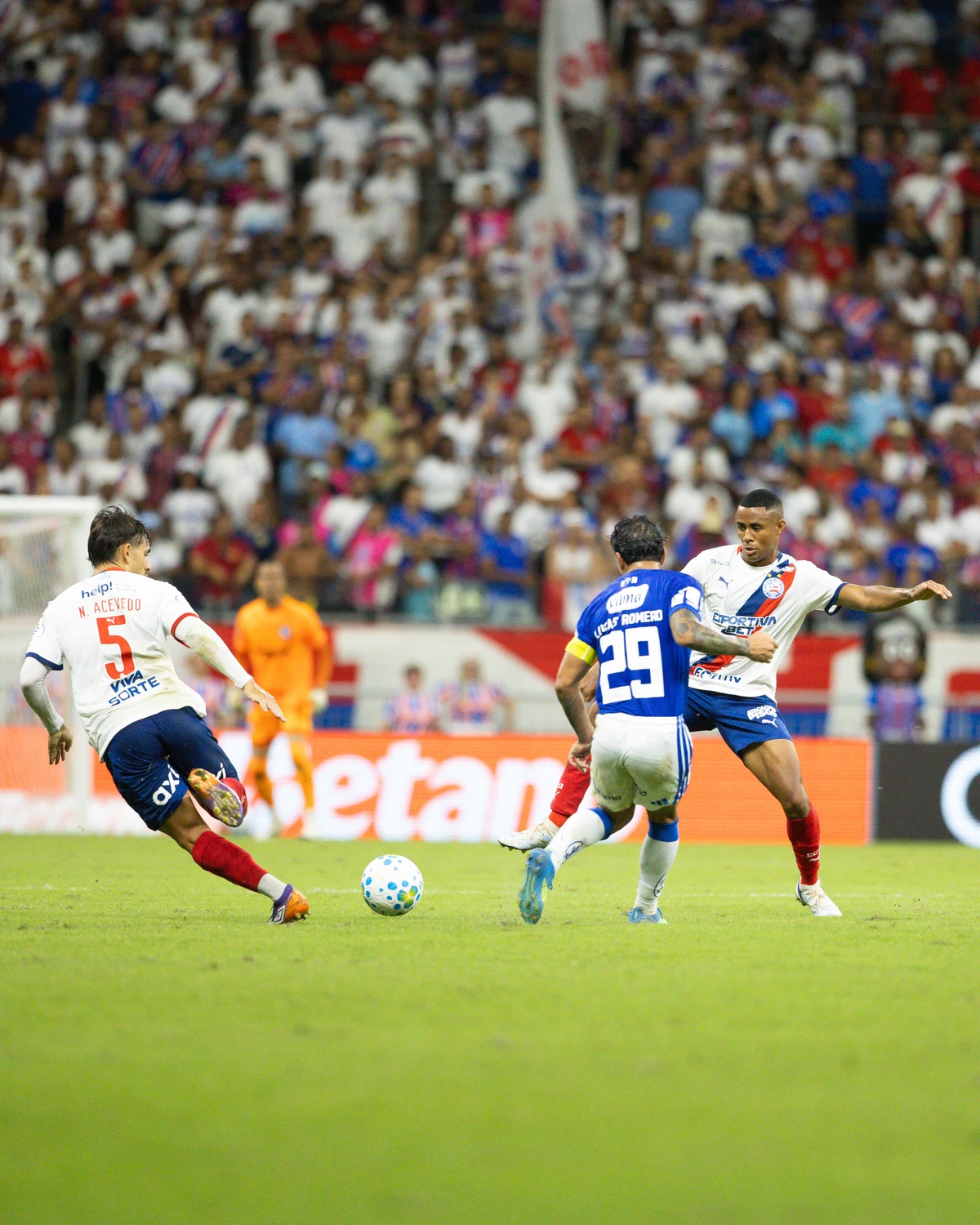 Bahia x Cruzeiro - 15ª rodada do Campeonato Brasileiro por Catarina Brandão/ECB
