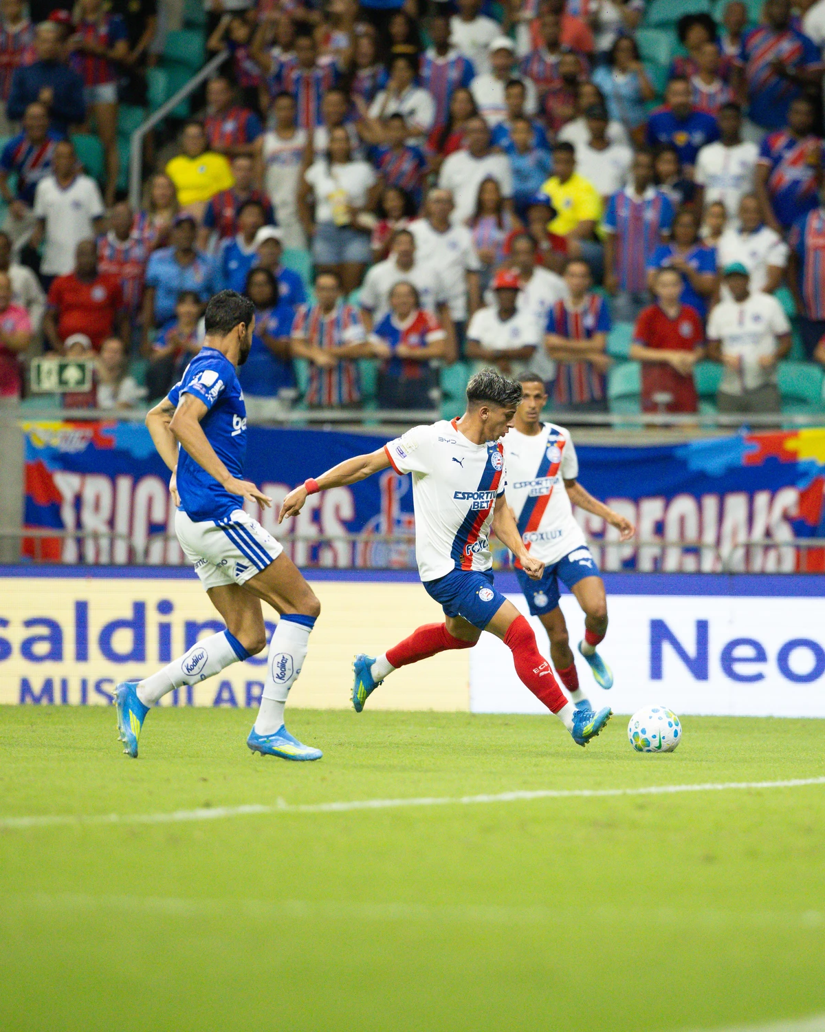Bahia x Cruzeiro - 15ª rodada do Campeonato Brasileiro por Catarina Brandão/ECB