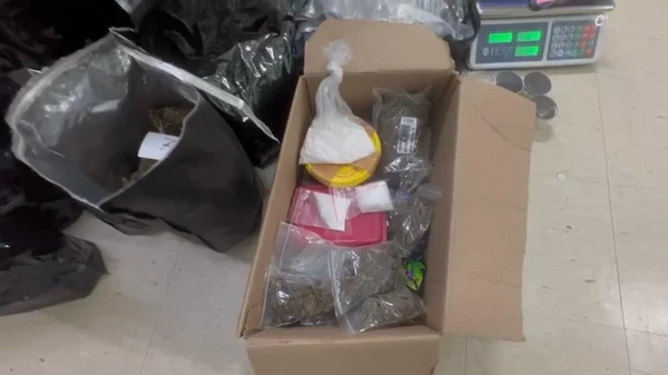 Meia tonelada de drogas apreendida em centro do BDM renderia R$ 2 milhões por Reprodução / Polícia Civil da Bahia