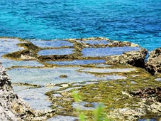 Imagem - O paraíso com praias em tons de verde que virou cenário de uma batalha e hoje tem corais em meio a ruínas