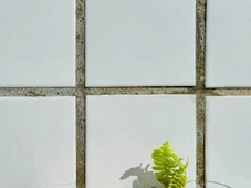 Imagem - Adeus, azulejo e cerâmica: solução contínua dá ar mais moderno à casa e é mais fácil de limpar