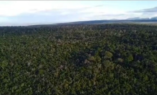 Ambientalistas são atacados a tiros  por Acervo Pessoal