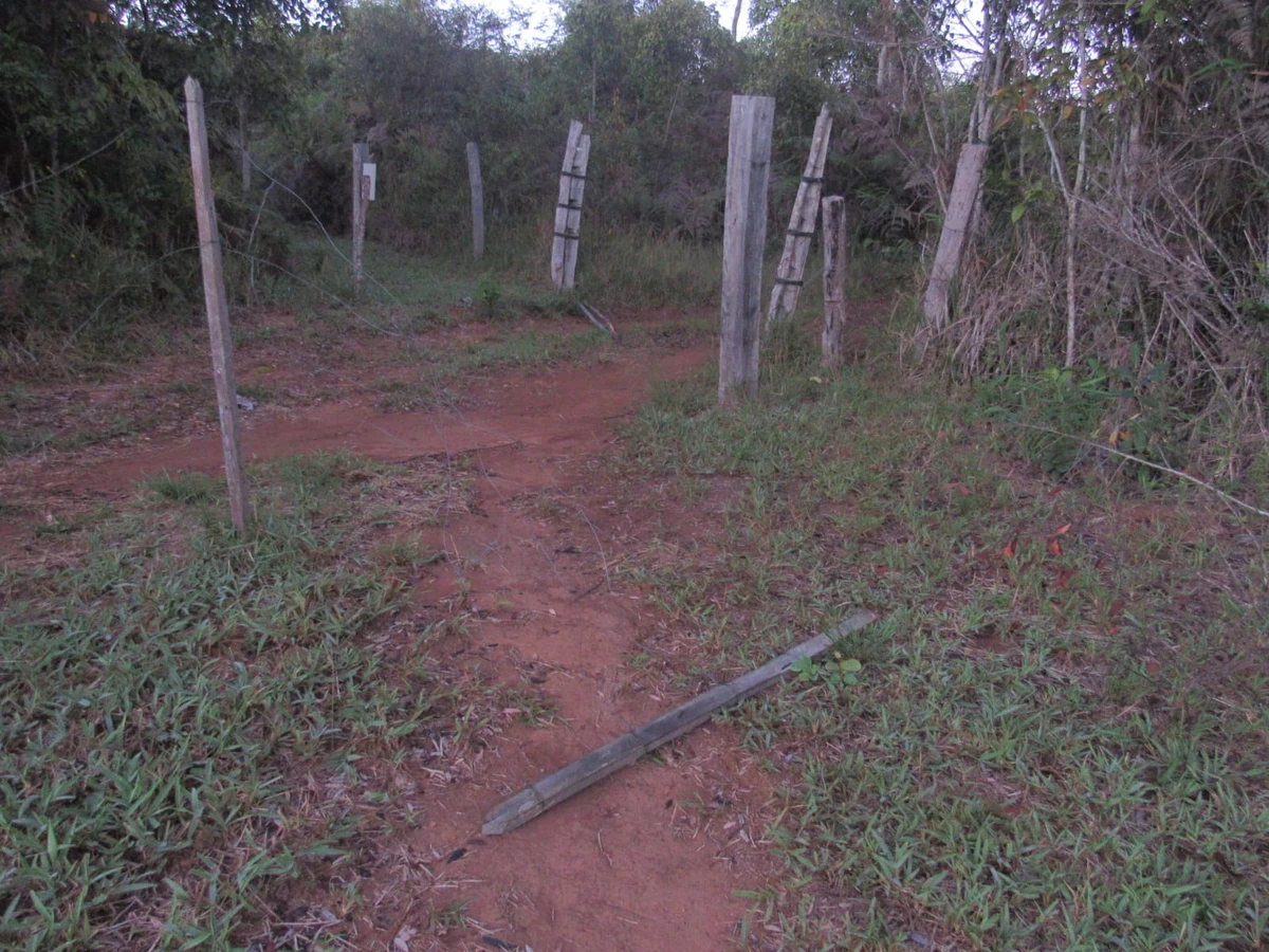 Ambientalistas são atacados a tiros  por Acervo Pessoal