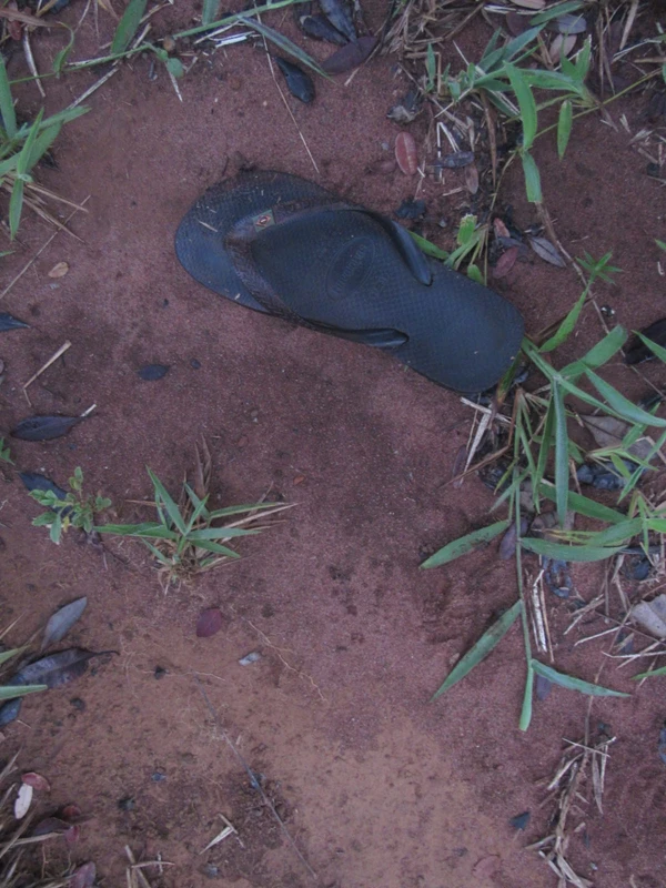 Ambientalistas são atacados a tiros  por Acervo Pessoal