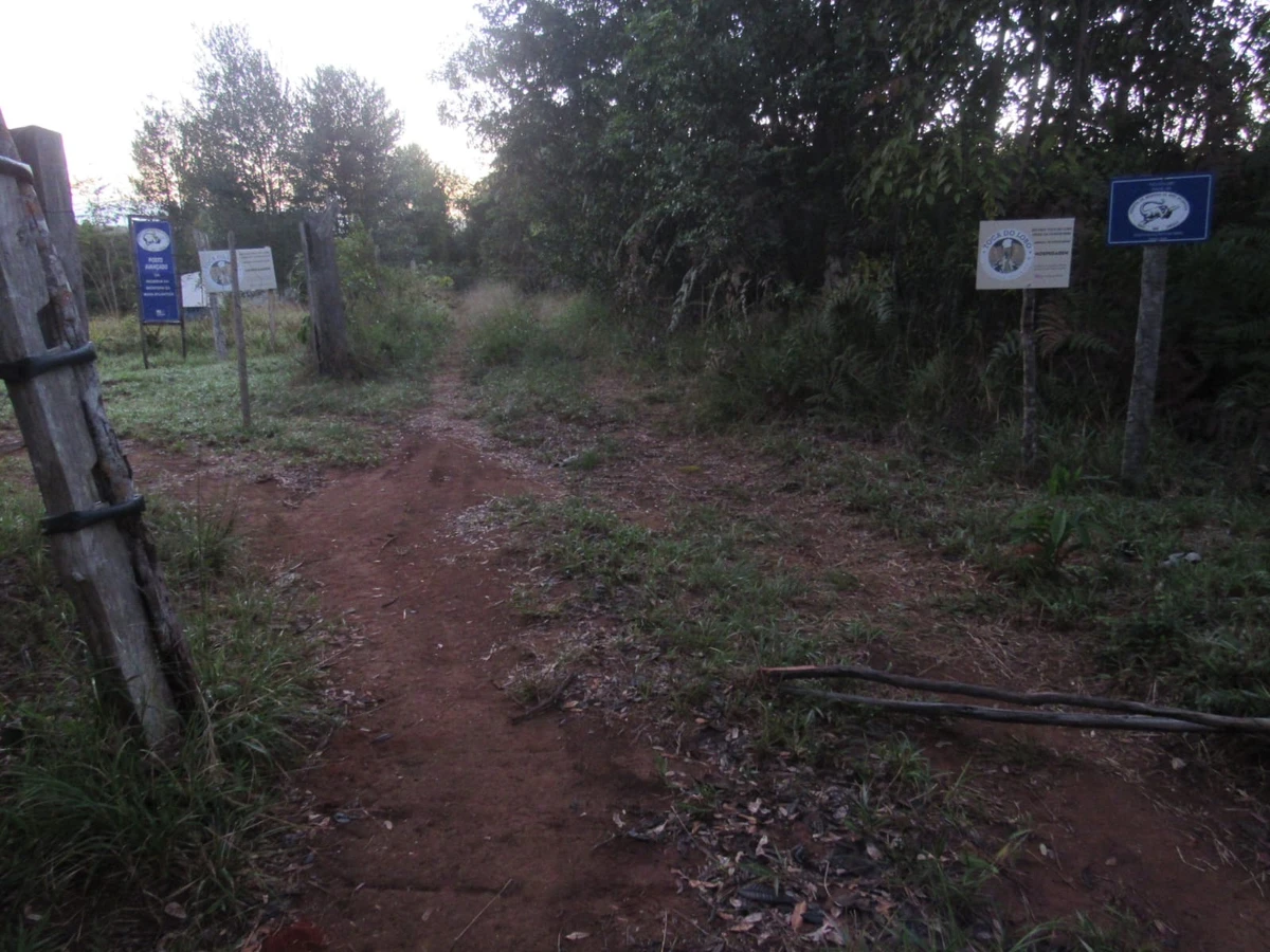 Ambientalistas são atacados a tiros  por Acervo Pessoal
