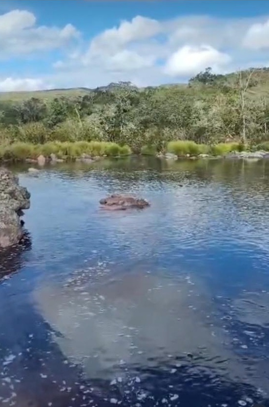 Ambientalistas são atacados a tiros na Chapada Diamantina por Acervo Pessoal