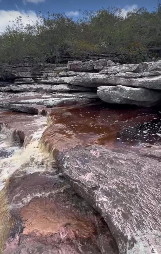 Ambientalistas são atacados a tiros na Chapada Diamantina por Acervo Pessoal