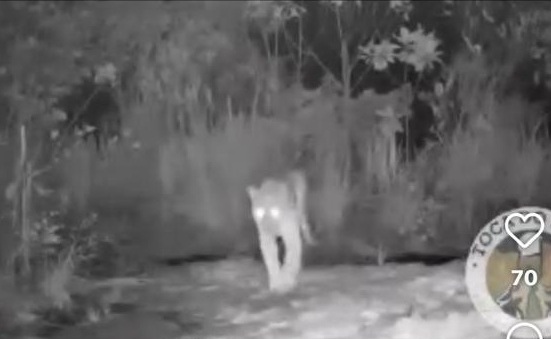 Ambientalistas são atacados a tiros na Chapada Diamantina por Acervo Pessoal