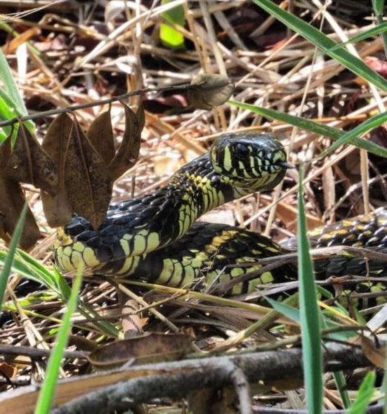 Ambientalistas são atacados a tiros na Chapada Diamantina por Acervo Pessoal