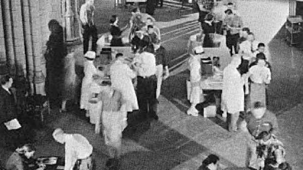HeLa permitiu cultivar poliovírus em grande escala e ajudou a testar a vacina contra a poliomielite por University of Pittsburgh / Wikimedia Commons