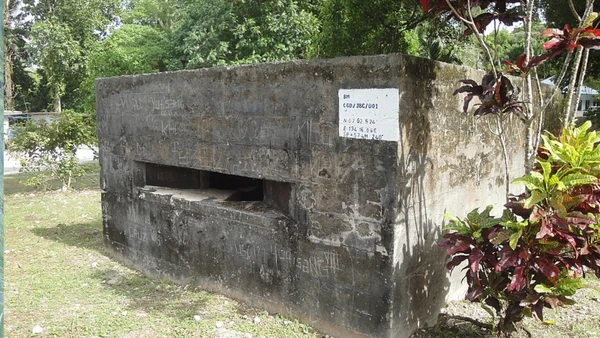 Para Iitaka, relatos sobre a batalha costumam privilegiar americanos e japoneses, deixando em segundo plano os palauanos, verdadeiros donos daquele território por Manuae/Wikimedia Commons