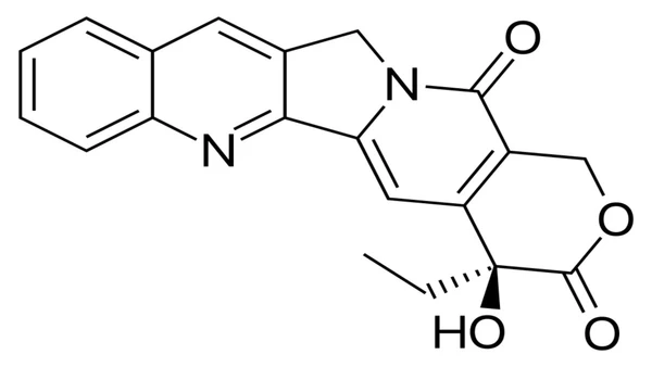 Testes com HeLa mostraram como a camptotecina podia frear o crescimento de células cancerosas por Fvasconcellos / Wikimedia Commons