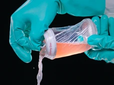 Imagem - 'Detox de plástico': ciência investiga se reduzir exposição a microplástico pode beneficiar a saúde