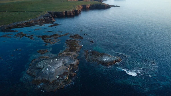 Arrecifes são formações rochosas ou de corais submersas, próximas à superfície do mar, comuns em águas tropicais