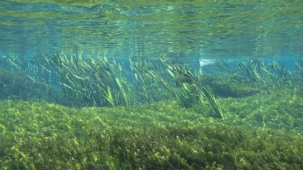 Bonito (MS) por Flávio André / MTur Destinos / Wikimedia Commons