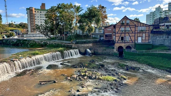 Equilíbrio delicado: Discussão em Goiás busca conciliar a proteção do Cerrado com a demanda por minerais críticos para a transição energética por Offleko, Pexels