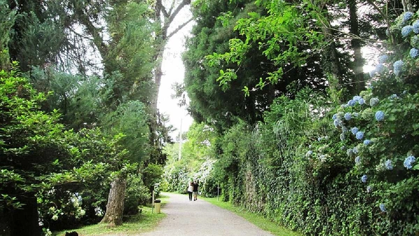 Gramado (RS) por Emillie Pinheiro Barros / Wikimedia Commons