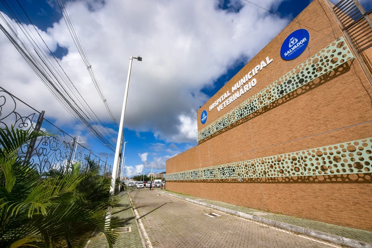 Hospital Público Veterinário de Salvador reforça que abandono de animais é crime por Jefferson Peixoto / Secom PMS