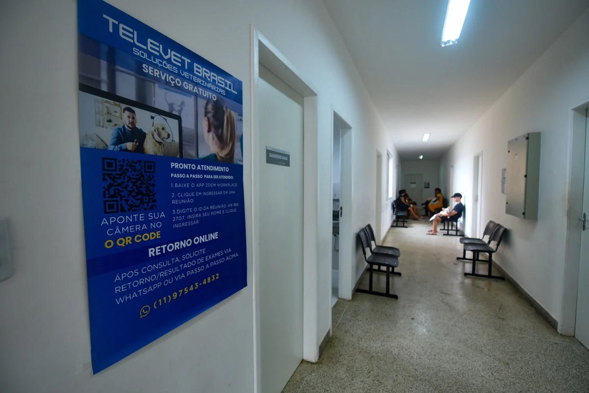 Hospital Público Veterinário de Salvador reforça que abandono de animais é crime por Jefferson Peixoto / Secom PMS