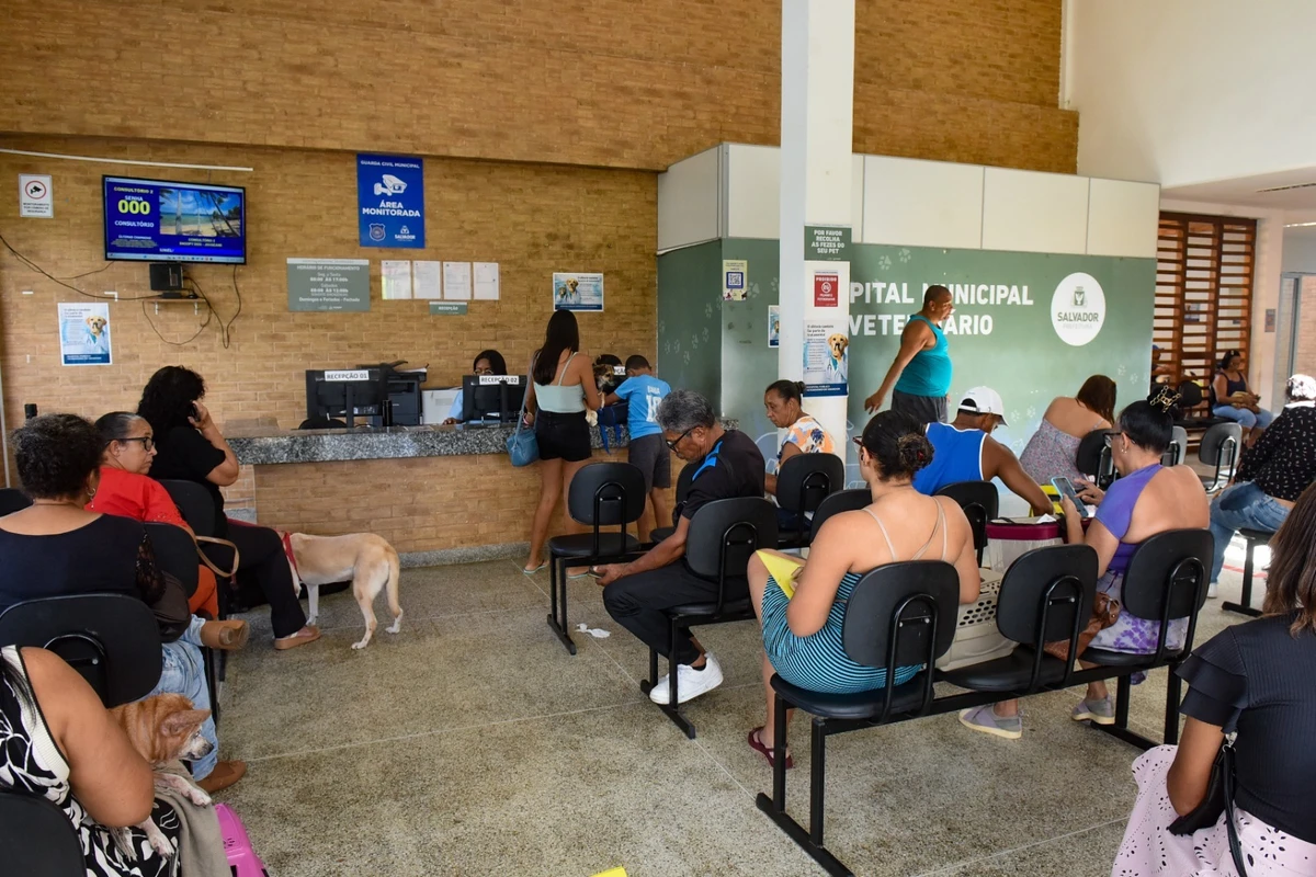 Hospital Público Veterinário de Salvador reforça que abandono de animais é crime por Jefferson Peixoto / Secom PMS