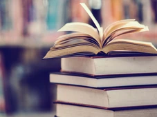 Imagem - Projeto quer proibir linguagem neutra em escolas públicas e privadas de Salvador