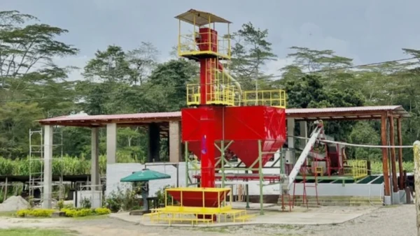 Fazenda de café por Divulgação
