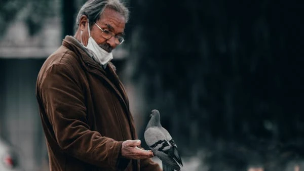 Mesmo assim, houve diferenças claras entre as espécies. Algumas aves eram naturalmente mais ariscas e levantavam voo a uma distância maior, enquanto outras toleravam melhor a presença humana, como os pombos