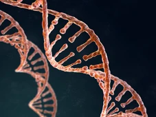 Imagem - SUS passa a oferecer testagem genética para câncer de mama