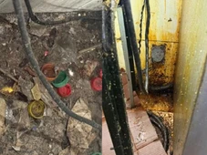 Imagem - Lanchonete é interditada após vigilância encontrar insetos e sujeira no local