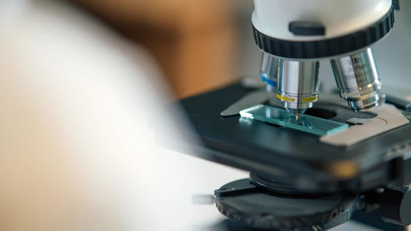 A explicação apontada pelos cientistas envolve a adenosina, substância que se acumula no cérebro durante o período de vigília e reduz a atividade neural por Pexels
