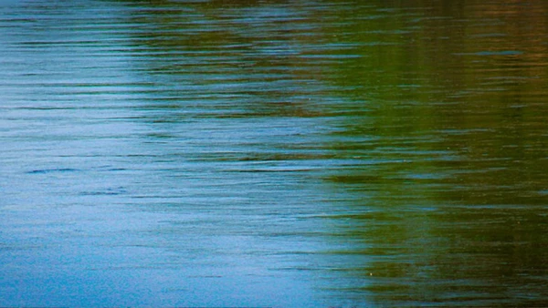 A mais de 300 km do litoral, a cidade cresceu entre os rios Parnaíba e Poti por Boaventuravinicius/Wikimedia Commons