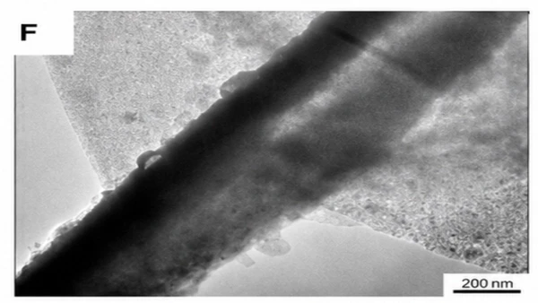 Catalisador após exposição ao CH₄ por 5 minutos por Divulgação / Artigo / Revista Cell Reports Physical Science