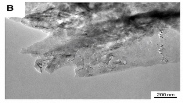 Catalisador fresco por Divulgação / Artigo / Revista Cell Reports Physical Science