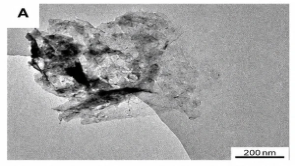 Catalisador fresco no início do processo de mineralização por Divulgação / Artigo / Revista Cell Reports Physical Science