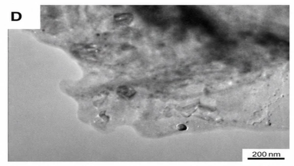 Catalisador pré-reduzido por Divulgação / Artigo / Revista Cell Reports Physical Science