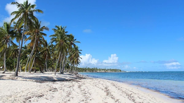 Punta Cana, República Dominicana, alta de 121% por Danu Widjajanto / Wikimedia Commons