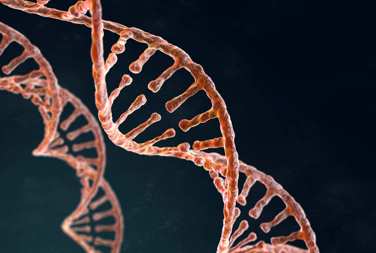 SUS passa a oferecer testagem genética para câncer de mama