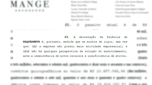 Trecho do pedido de falência da Posco Brasil enviado à Justiça por Reprodução