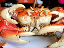Imagem - Após fechamento de tradicional point, conheça 10 lugares para comer caranguejo em Salvador
