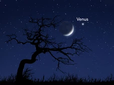 Imagem - Lua e Vênus vão iluminar o céu em encontro raro e fácil de observar; saiba mais