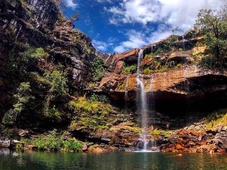 Imagem - Criança de 8 anos é atacada por onça na Chapada dos Veadeiros