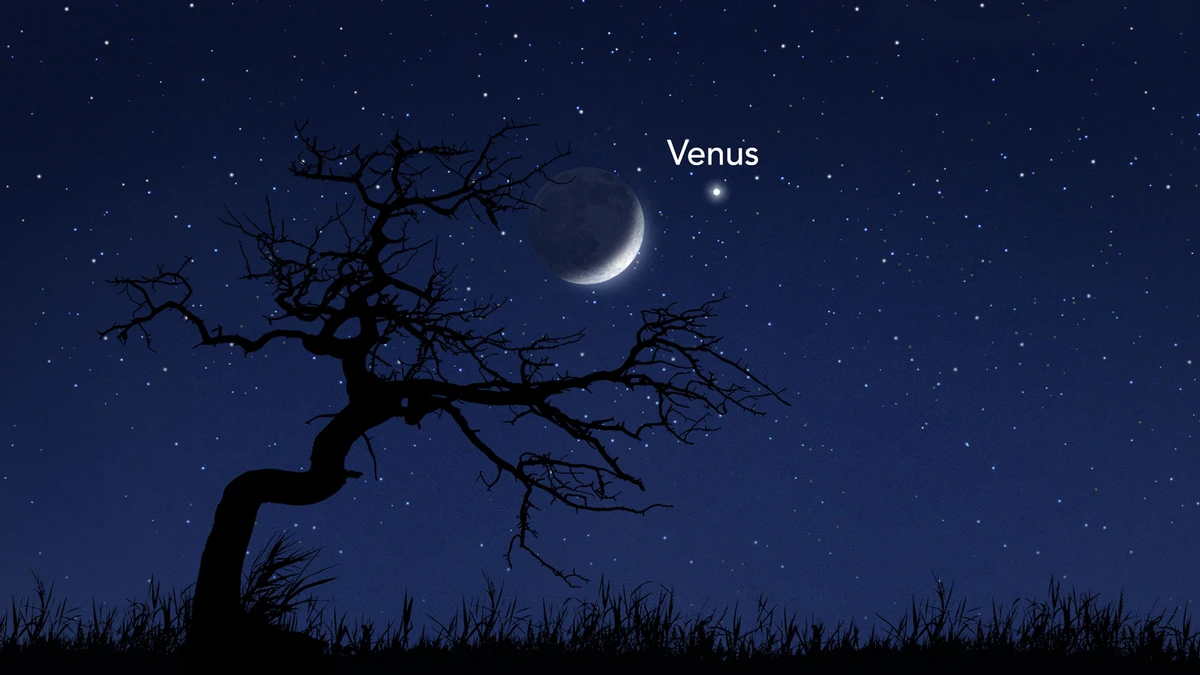 Lua e Vênus vão iluminar o céu em encontro raro e fácil de observar