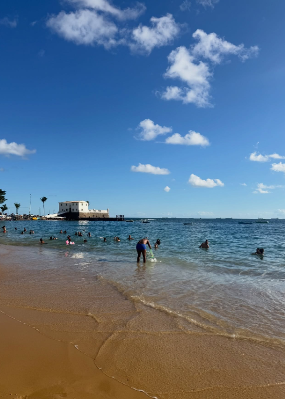 Alessandra Negrini curte praia em Salvador por Reprodução