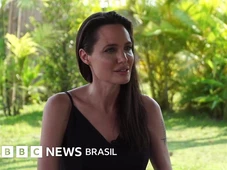 Imagem - Angelina Jolie comprou selva particular maior que 84 mil campos de futebol para proteger animais