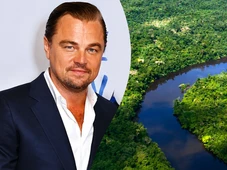 Imagem - Leonardo DiCaprio comprou ilha de mais de R$ 110 milhões para salvar pinguins, aves raras e espécies ameaçadas