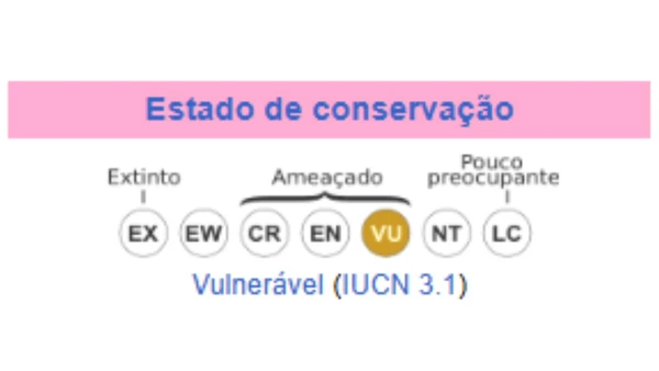 A IUCN utiliza uma escala de sete níveis e as tartarugas-de-galápagos estão em uma das categorias menos preocupantes, atualmente, mas ainda assim em risco