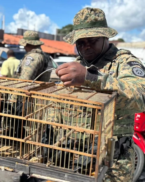Aves silvestres foram resgatas em Alagoinhas por COPPA-CPE